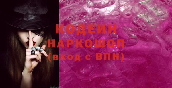 дурь Няндома
