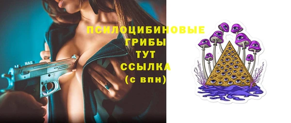 дурь Няндома